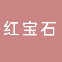 安阳红宝石娱乐有限公司
